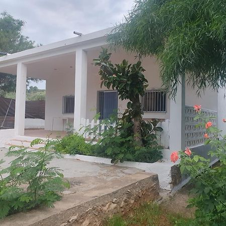 Casa Campo Con Piscina Y Barbacoa Para 6 Personas En Plena Naturaleza Picassent Exterior photo