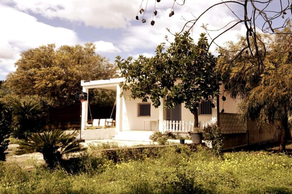 Casa Campo Con Piscina Y Barbacoa Para 6 Personas En Plena Naturaleza Picassent Exterior photo